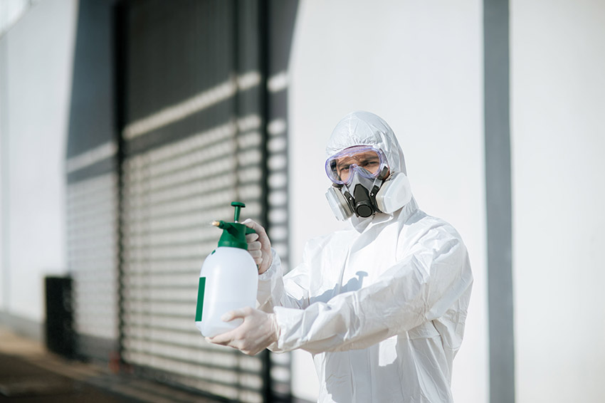 Fumigador aplicando producto